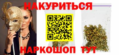 крисы Кулебаки
