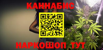 сатива Краснодар