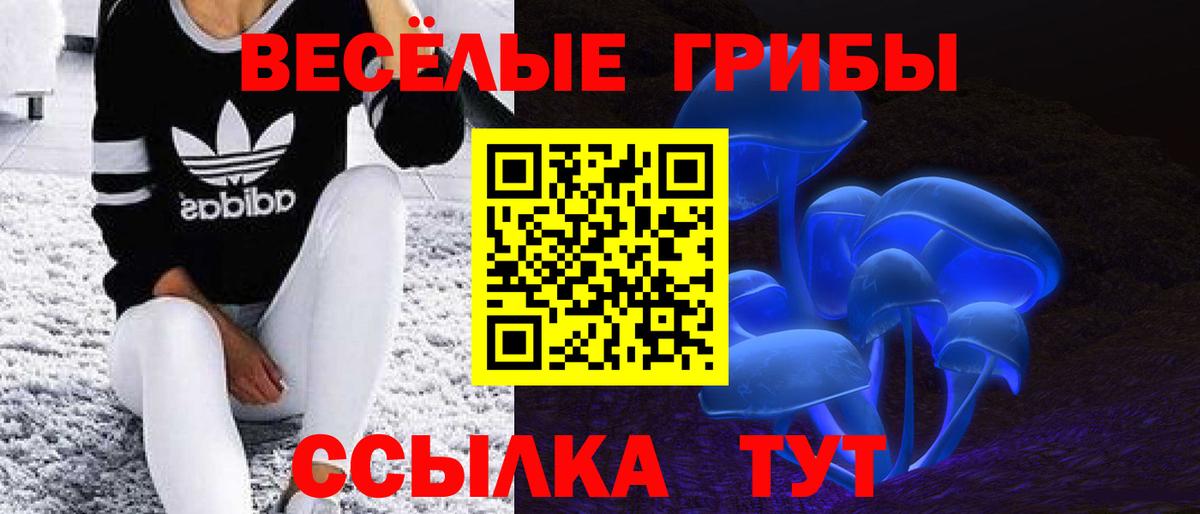 Меф кристаллы  КОКАИН  ТГК  Вход с VPN  МАРИХУАНА  Гашиш  ГАШ  Котельники  Каннабис  МЕФ 